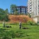 gebze tatlikuyu vadisi kent parkina duzenli bakim Ya2leWRL 80x80