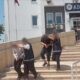 istanbulda gocmen kacakciligi operasyonu k4jZIIM1 80x80