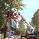 alikahya tramvay hattinda agaclar budaniyor XjXWv6Gr 80x80