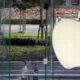 apple hisseleri iphone 17 satislariyla rekor kirdi fOhYJNYl 80x80