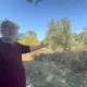 kanuni nin rodos yolu uzerindeki tarihi sarni 19160951_amp 80x80