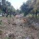 kemerdeki derelerde temizlik calismalari 1G8Nl2GI 80x80