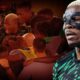 victor osimhen takim arkadaslarini oyle bir uyardi ki sahanin ortasinda bagirdi herkes onu dinledi LKu5KSba 80x80