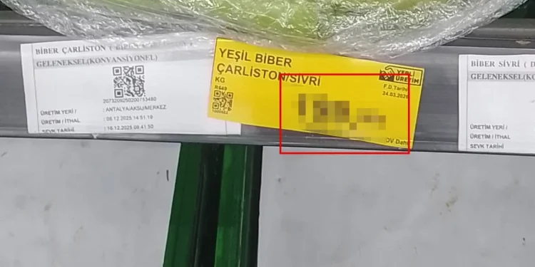 BİM’de Satışa Çıkan Biberin Fiyatı Şaşkınlık Yarattı