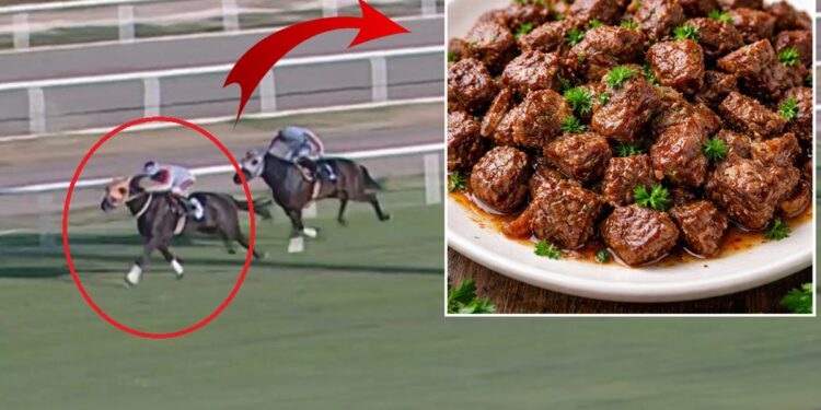 Hipodromdan Sofraya: At Eti Kavurma Skandalı ve Fiyatı