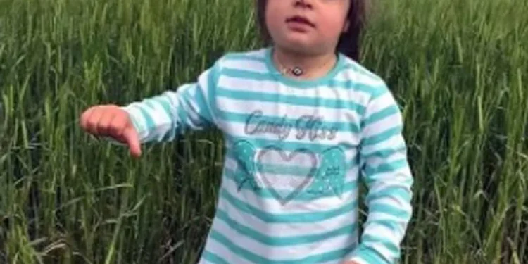 Leyla’nın ölümünde anne için zorla getirme kararı