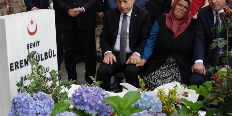 Eren Bülbül’ün annesinden yürek yakan sözler: 9 yıl