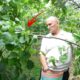 giresun da findik hasadi basladi 20127125_6301_amp 80x80