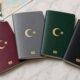 pasaportlarda devrim gibi degisiklik_dd0b7544fe_amp 80x80